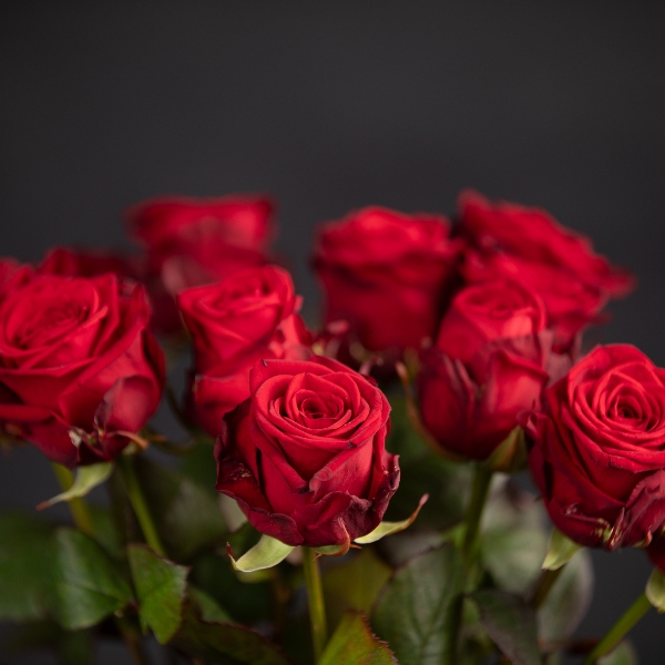 Ein dutzend Rosen bitte Bild 2
