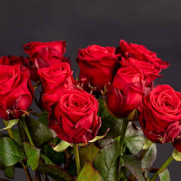 Ein dutzend Rosen bitte Bild 4